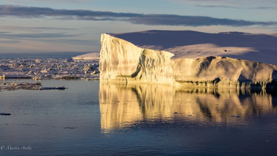 PLA27-25, Day 15, 088A7117 © Martin Anstee - Oceanwide Expeditions.jpg