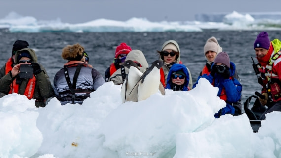 PLA27-25, Day 15, 766A1694 © Susanne Polap - Oceanwide Expeditions.jpg