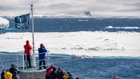 PLA27-25, Day 15, 766A2041 © Susanne Polap - Oceanwide Expeditions.jpg
