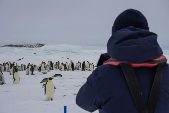 Snow Hill Island, Antarctica, Weddell Sea, IMG_5229 © Alexandra den Dikken - Oceanwide Expeditions