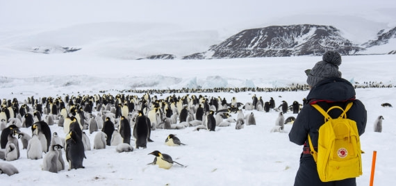 Snow Hill Island, Antarctica, Weddell Sea, IMG_5249 © Alexandra den Dikken - Oceanwide Expeditions