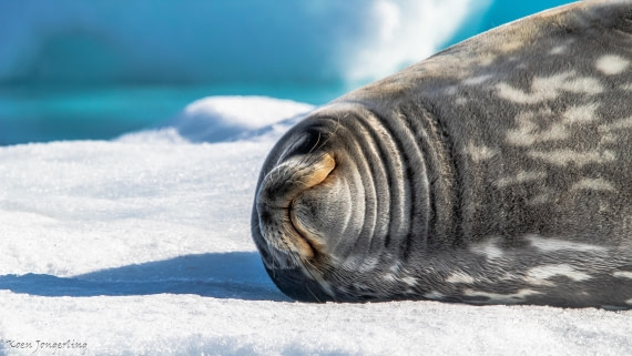 OTL29-25, Day 4, IMG_7586 © Koen Jongerling - Oceanwide Expeditions.jpg