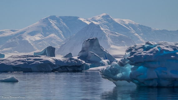 OTL29-25, Day 4, IMG_7655 © Koen Jongerling - Oceanwide Expeditions.jpg