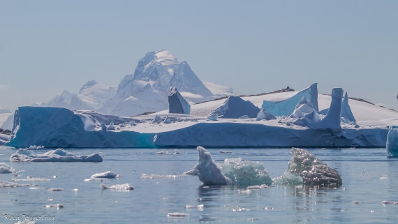 OTL29-25, Day 4, IMG_7691 © Koen Jongerling - Oceanwide Expeditions.jpg