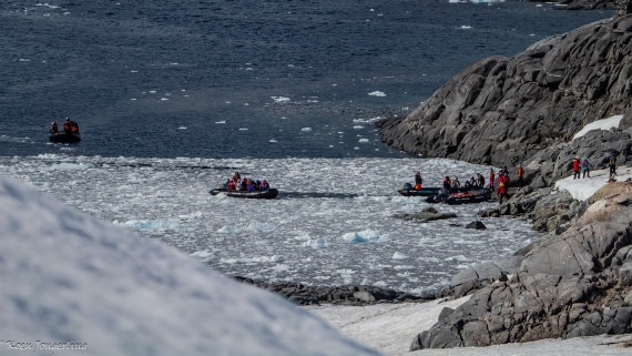 OTL29-25, Day 4, IMG_7726 © Koen Jongerling - Oceanwide Expeditions.jpg