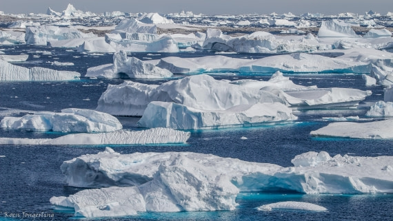 OTL29-25, Day 4, IMG_7730 © Koen Jongerling - Oceanwide Expeditions.jpg