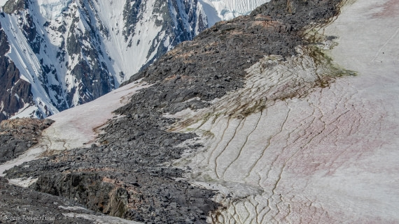 OTL29-25, Day 4, IMG_7735 © Koen Jongerling - Oceanwide Expeditions.jpg