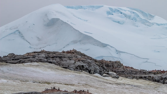 OTL29-25, Day 5, IMG_7885 © Koen Jongerling - Oceanwide Expeditions.jpg