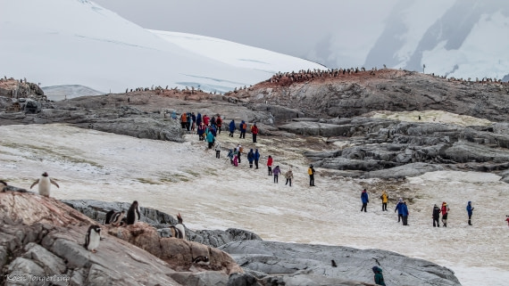 OTL29-25, Day 5, IMG_7897 © Koen Jongerling - Oceanwide Expeditions.jpg