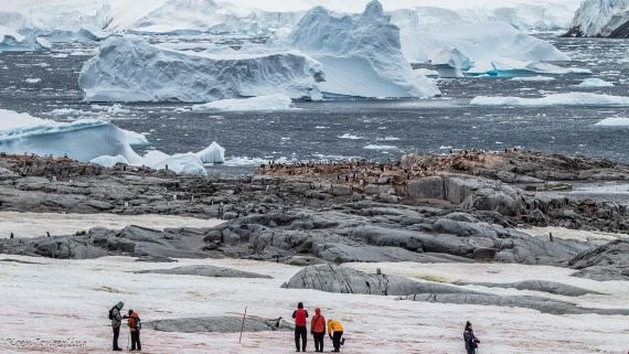 OTL29-25, Day 5, IMG_7899 © Koen Jongerling - Oceanwide Expeditions.jpg