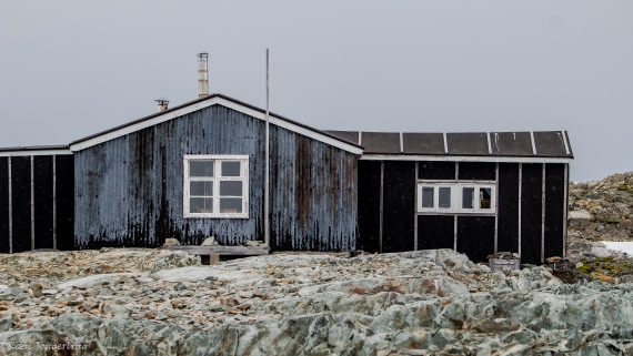 OTL29-25, Day 5, IMG_7967 © Koen Jongerling - Oceanwide Expeditions.jpg