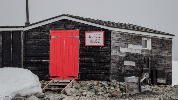 OTL29-25, Day 5, IMG_7970 © Koen Jongerling - Oceanwide Expeditions.jpg