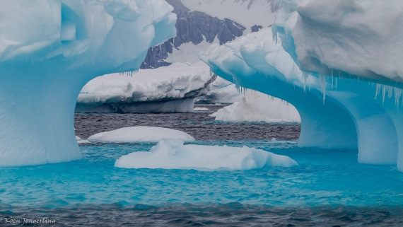 OTL29-25, Day 5, IMG_8002 © Koen Jongerling - Oceanwide Expeditions.jpg