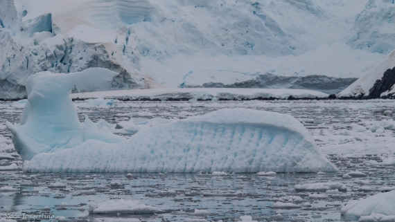 OTL29-25, Day 6, IMG_8062 © Koen Jongerling - Oceanwide Expeditions.jpg