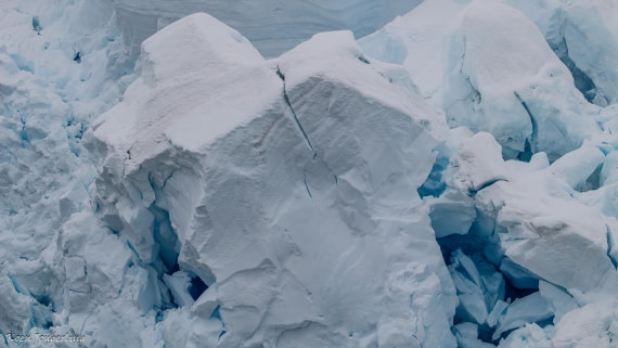 OTL29-25, Day 6, IMG_8127 © Koen Jongerling - Oceanwide Expeditions.jpg