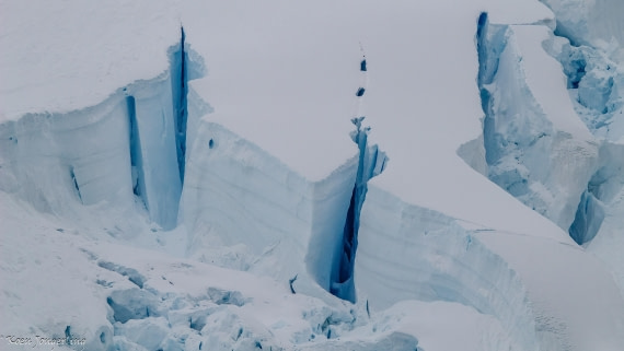 OTL29-25, Day 6, IMG_8131 © Koen Jongerling - Oceanwide Expeditions.jpg