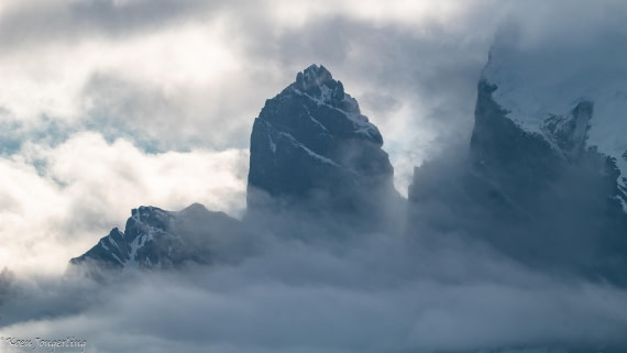 OTL29-25, Day 7, IMG_8214 © Koen Jongerling - Oceanwide Expeditions.jpg