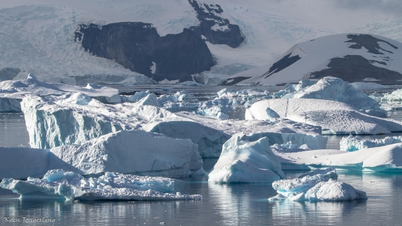 OTL29-25, Day 7, IMG_8218 © Koen Jongerling - Oceanwide Expeditions.jpg