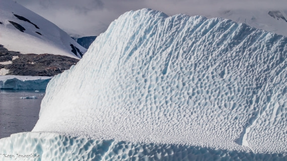 OTL29-25, Day 7, IMG_8292 © Koen Jongerling - Oceanwide Expeditions.jpg