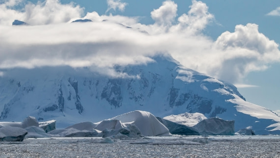 OTL29-25, Day 7, IMG_8339 © Koen Jongerling - Oceanwide Expeditions.jpg