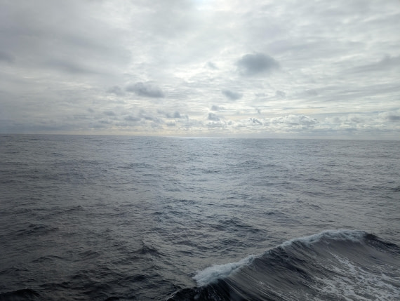 PLA28-25, Day 10, PXL_20250212_122531273.MP © Unknown photographer - Oceanwide Expeditions.jpg