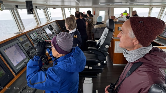 PLA28-25, Day 3, IMG_0122 © Martin Anstee - Oceanwide Expeditions.jpg