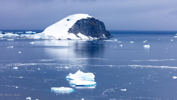 PLA28-25, Day 4, 088A7680 © Martin Anstee - Oceanwide Expeditions.jpg