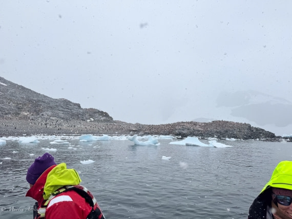 PLA28-25, Day 4, IMG_0133 © Martin Anstee - Oceanwide Expeditions.jpg