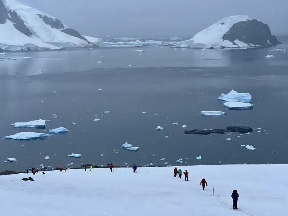 PLA28-25, Day 4, IMG_5421-elizabeth © Elizabeth Robinson - Oceanwide Expeditions.jpeg