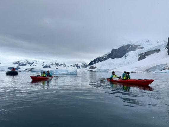 PLA28-25, Day 4, IMG_5793 © Unknown photographer - Oceanwide Expeditions.jpg
