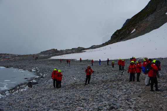 PLA28-25, Day 4, IMGP3464 © Unknown photographer - Oceanwide Expeditions.JPG