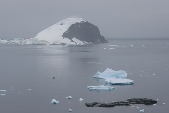 PLA28-25, Day 4, RegisPERDRIAT (5) © Regis Perdriat - Oceanwide Expeditions.JPG