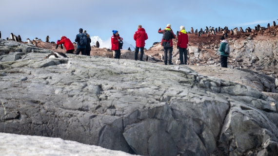 PLA28-25, Day 5, DSC_5539 © Unknown photographer - Oceanwide Expeditions.jpg