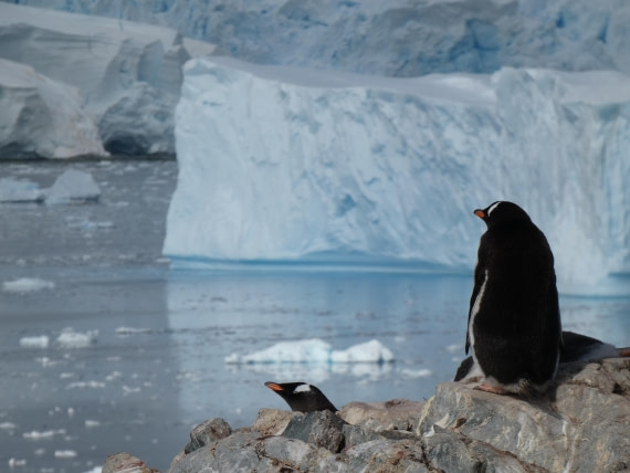 PLA28-25, Day 5, P1180167 © Ali Liddle - Oceanwide Expeditions.JPG