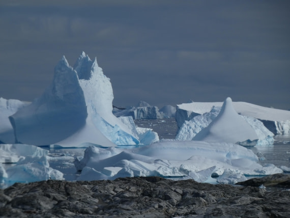 PLA28-25, Day 5, P1180176 © Ali Liddle - Oceanwide Expeditions.JPG