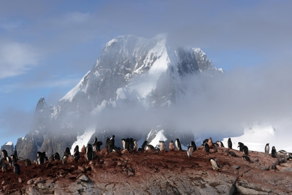 PLA28-25, Day 5, RegisPERDRIAT (11) © Regis Perdriat - Oceanwide Expeditions.JPG