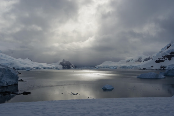 PLA28-25, Day 6, helenedemeringo (2) © Hélène de Meringo - Oceanwide Expeditions.JPG