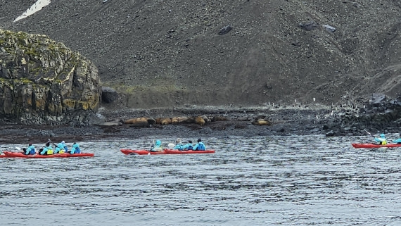 PLA28-25, Day 8, 20250210_091934 © Unknown photographer - Oceanwide Expeditions.jpg