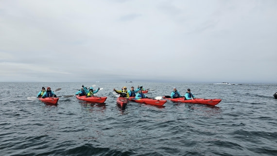 PLA28-25, Day 8, 20250210_102956 © Unknown photographer - Oceanwide Expeditions.jpg