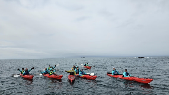 PLA28-25, Day 8, 20250210_102959 © Unknown photographer - Oceanwide Expeditions.jpg