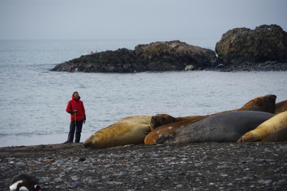 PLA28-25, Day 8, IMGP4229 © Unknown photographer - Oceanwide Expeditions.JPG