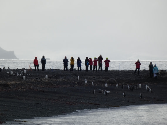 PLA28-25, Day 8, P1180216 © Ali Liddle - Oceanwide Expeditions.JPG