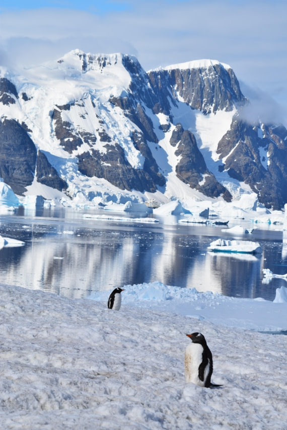 solitude with company