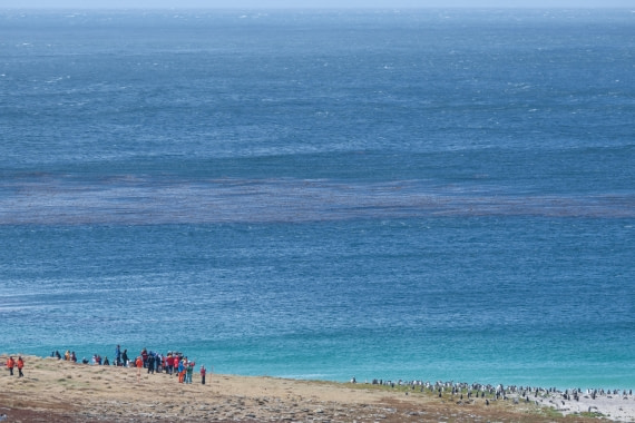 HDS28-25, Day 3, Ross new island © Ross Wheeler - Oceanwide Expeditions.jpg
