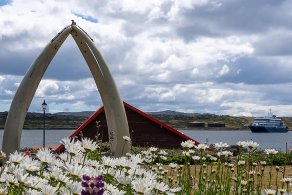 HDS28-25, Day 4, Ross Photos around Stanley4 © Ross Wheeler - Oceanwide Expeditions.jpg