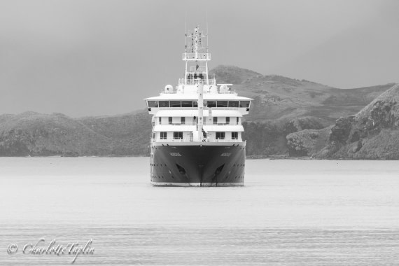 HDS28-25, Day 7, FZ1A3265 © Charlotte Taplin - Oceanwide Expeditions.jpg