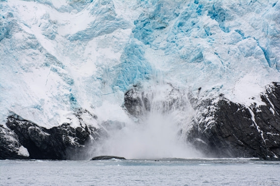 HDS28-25, Day 13, _DSC6592 © Hana Spickova - Oceanwide Expeditions.jpg