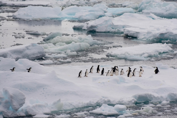 HDS28-25, Day 14, _DSC6653 © Hana Spickova - Oceanwide Expeditions.jpg