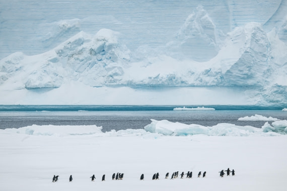 HDS28-25, Day 14, Ross Ice landing photos (7) © Ross Wheeler - Oceanwide Expeditions.jpg