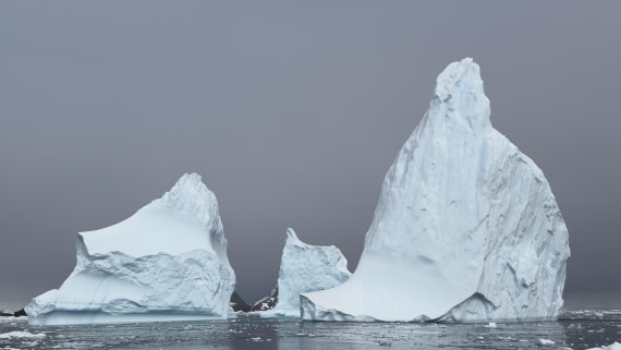 HDS28-25, Day 15, IMG_7539 © Unknown photographer - Oceanwide Expeditions.jpg